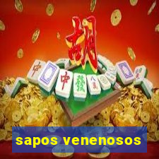 sapos venenosos