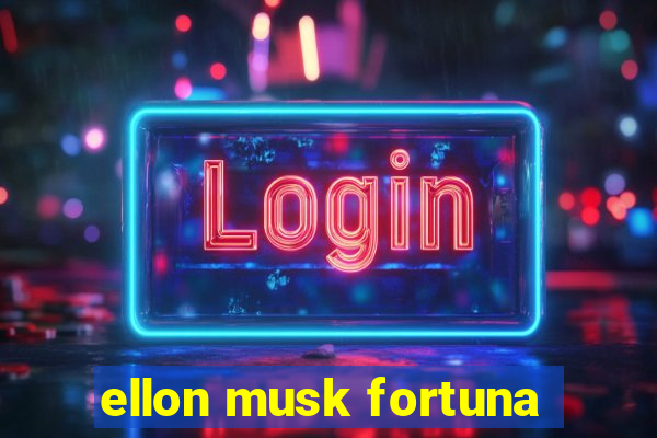 ellon musk fortuna