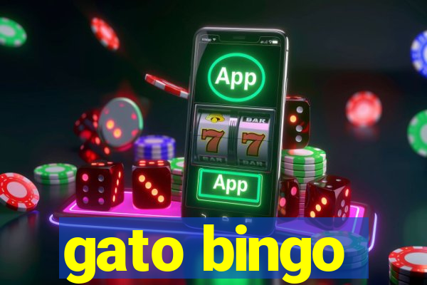 gato bingo