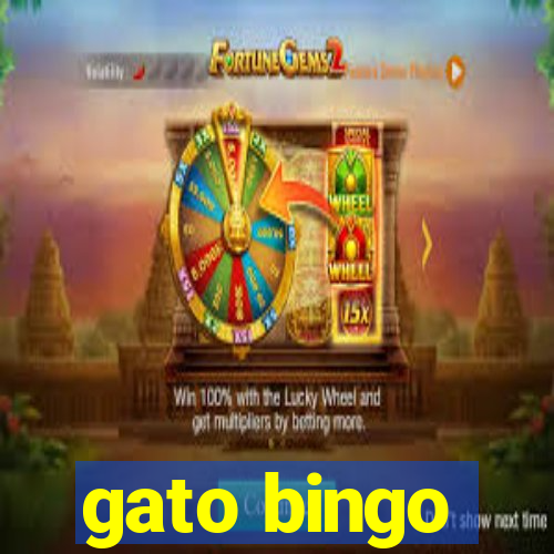 gato bingo