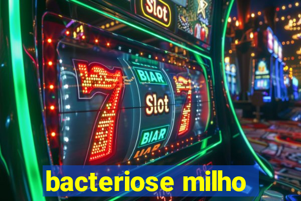 bacteriose milho