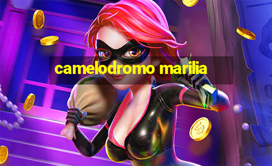 camelodromo marilia