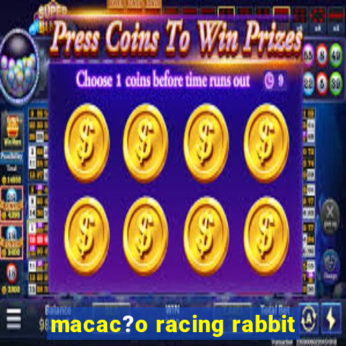 macac?o racing rabbit