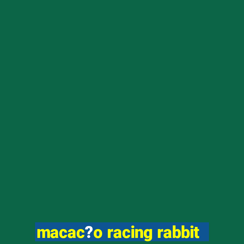 macac?o racing rabbit