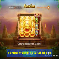 bambu mosso natural preço