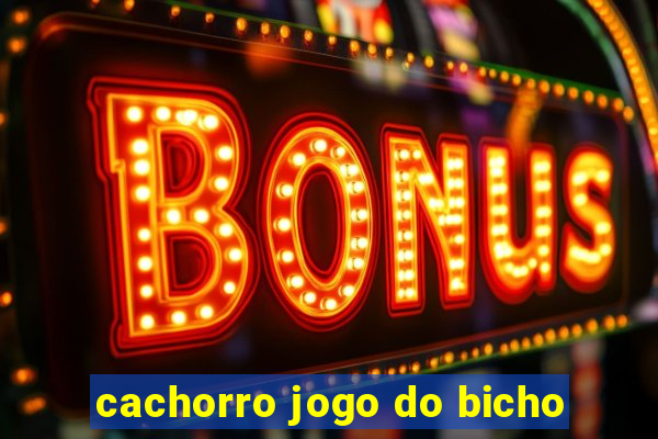 cachorro jogo do bicho