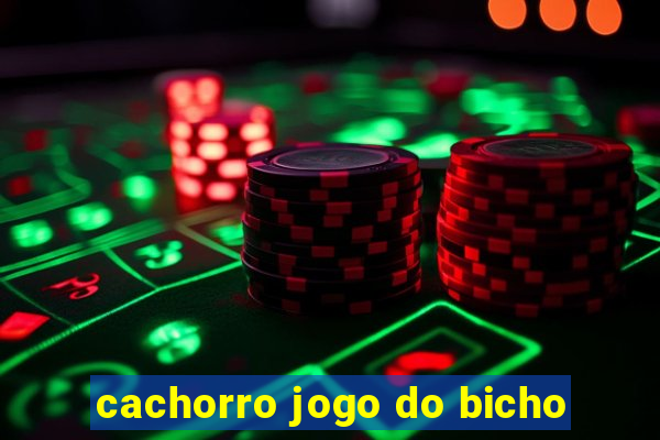 cachorro jogo do bicho