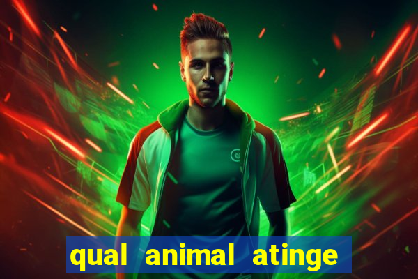 qual animal atinge 230 decibeis