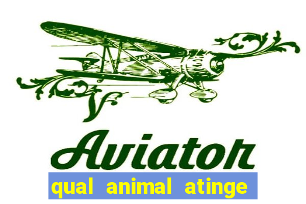 qual animal atinge 230 decibeis