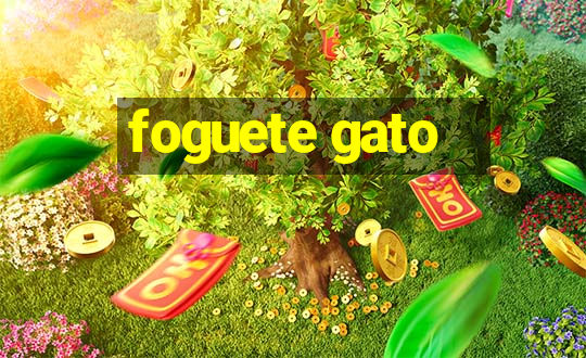 foguete gato