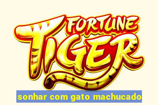 sonhar com gato machucado