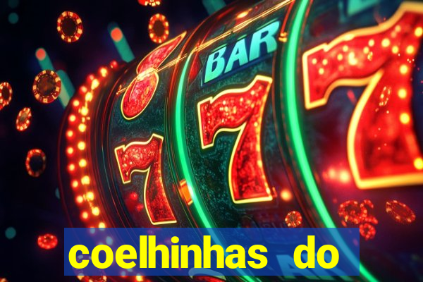 coelhinhas do brasil site