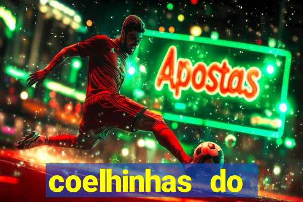 coelhinhas do brasil site