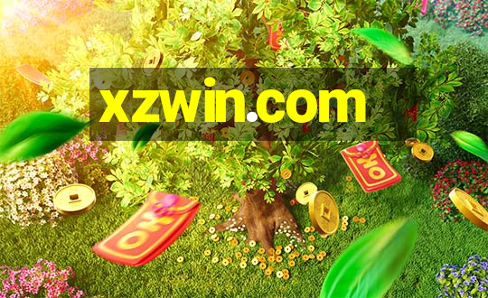 xzwin.com