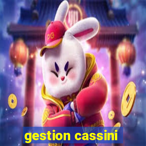 gestion cassini