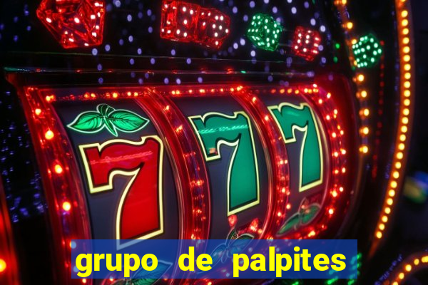 grupo de palpites de futebol whatsapp