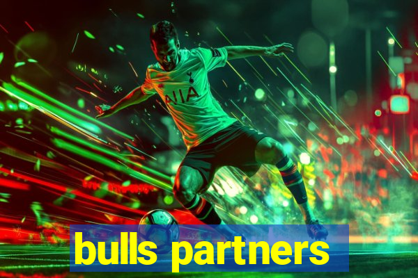 bulls partners