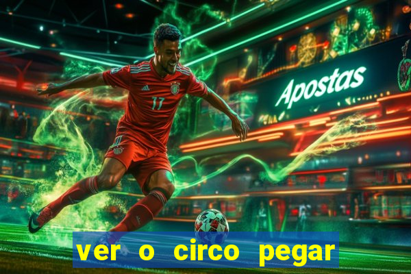 ver o circo pegar fogo significado