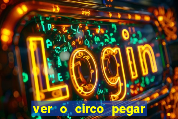 ver o circo pegar fogo significado