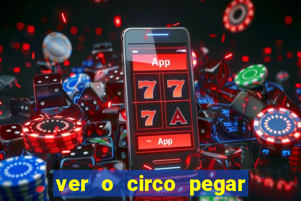 ver o circo pegar fogo significado