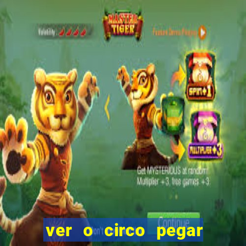 ver o circo pegar fogo significado