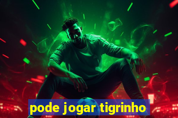 pode jogar tigrinho