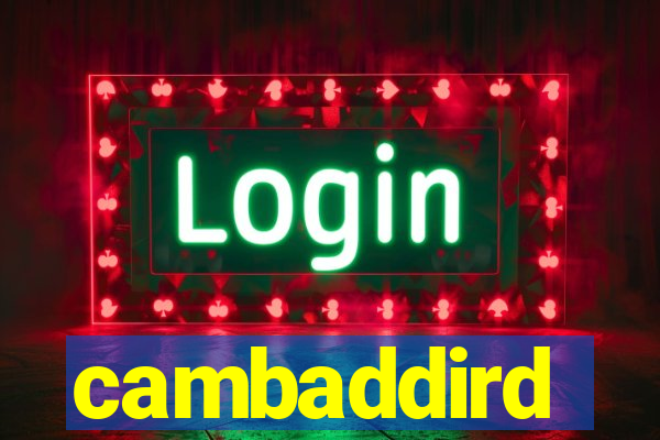 cambaddird