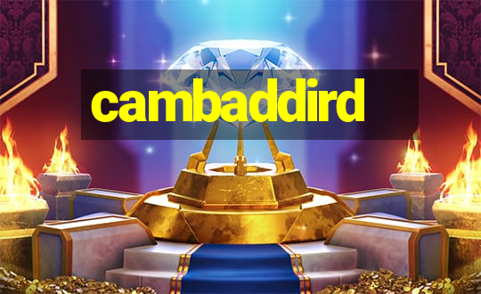 cambaddird