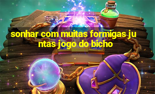 sonhar com muitas formigas juntas jogo do bicho