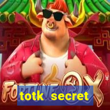 totk secret treasure under the great fish