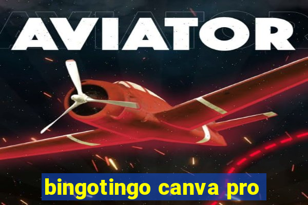 bingotingo canva pro