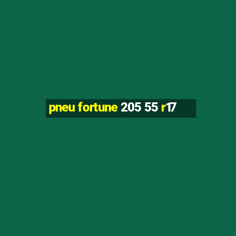 pneu fortune 205 55 r17