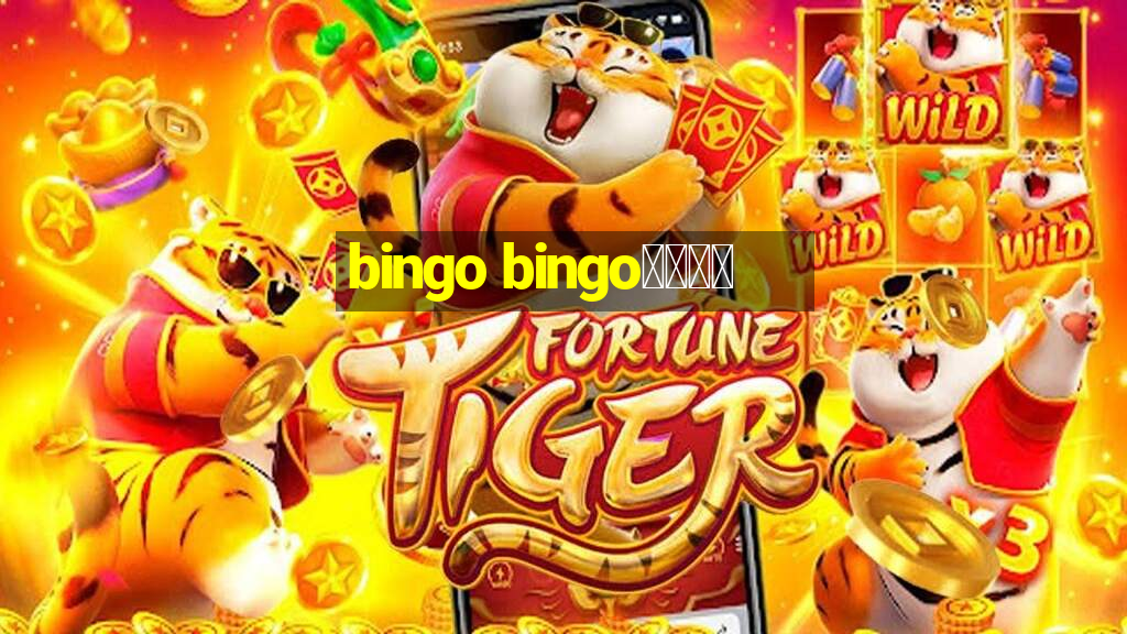 bingo bingo線上投注