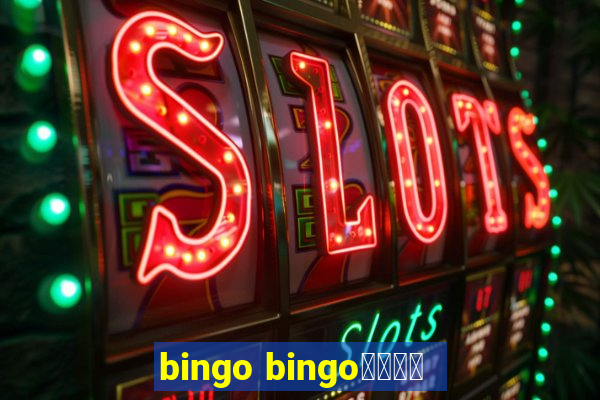 bingo bingo線上投注