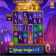 bingo bingo線上投注