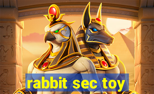 rabbit sec toy