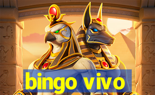 bingo vivo