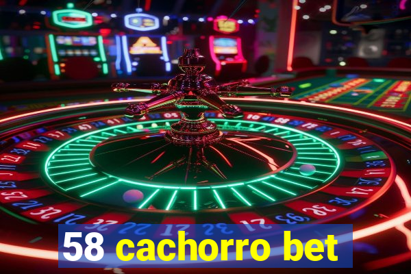 58 cachorro bet