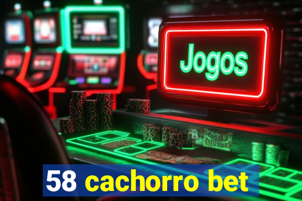 58 cachorro bet