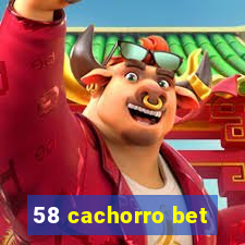 58 cachorro bet