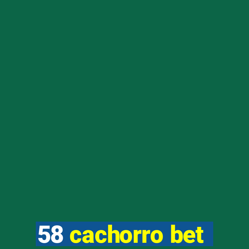 58 cachorro bet