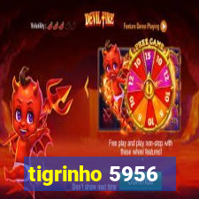 tigrinho 5956