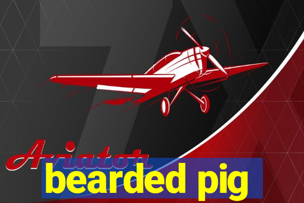 bearded pig