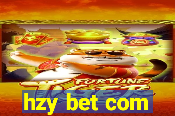 hzy bet com