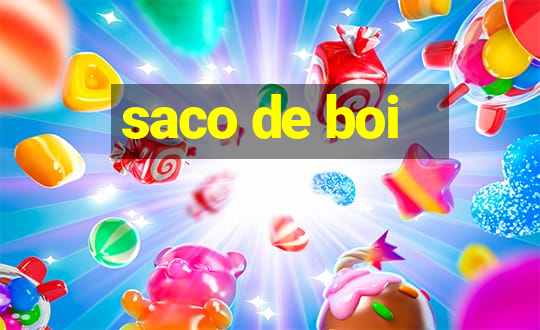 saco de boi