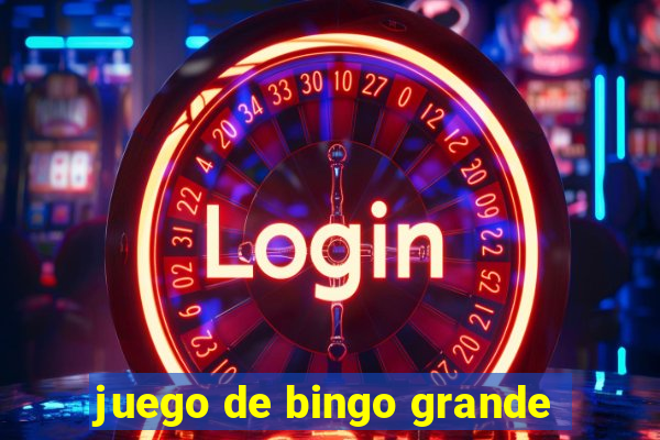 juego de bingo grande