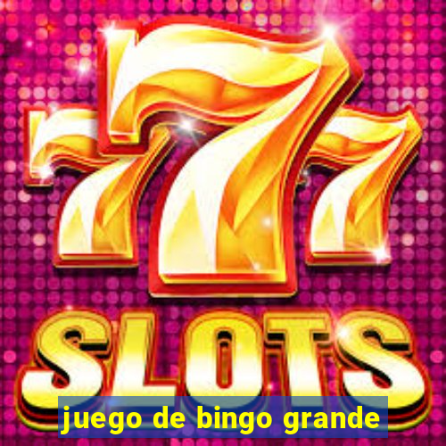 juego de bingo grande