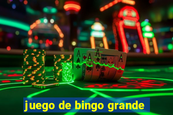 juego de bingo grande