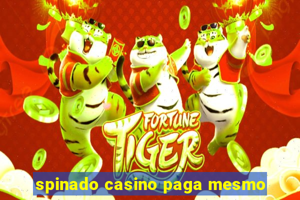 spinado casino paga mesmo