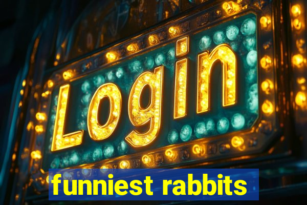 funniest rabbits